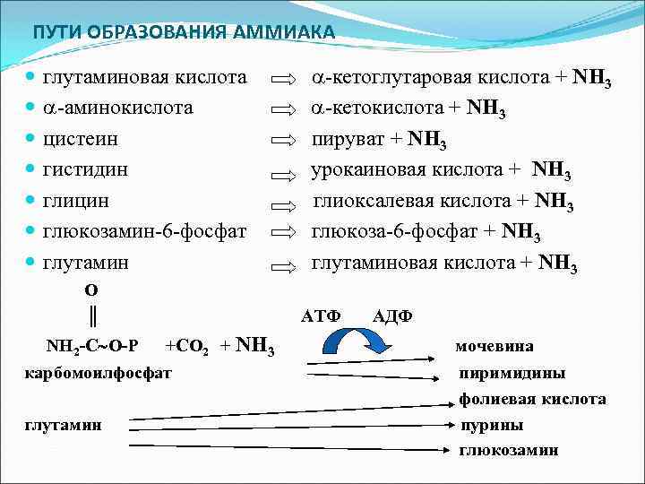 Схема образования аммиака