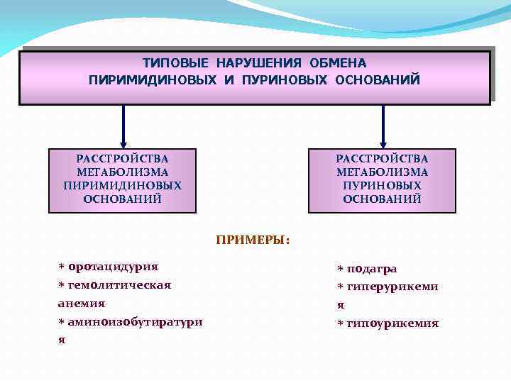 Патофизиология белкового обмена презентация