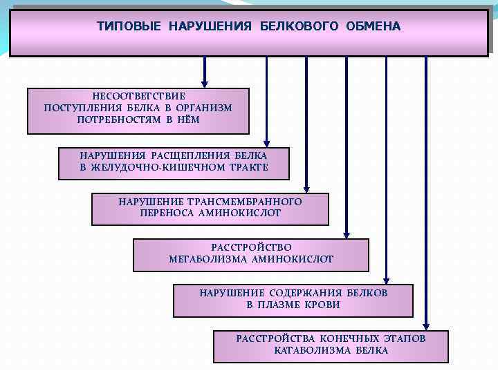 Типовые нарушения. Типовые нарушения белкового обмена патофизиология. Нарушение конечных этапов белкового обмена. Расстройства конечных этапов белкового обмена. Патологии белкового обмена схема.