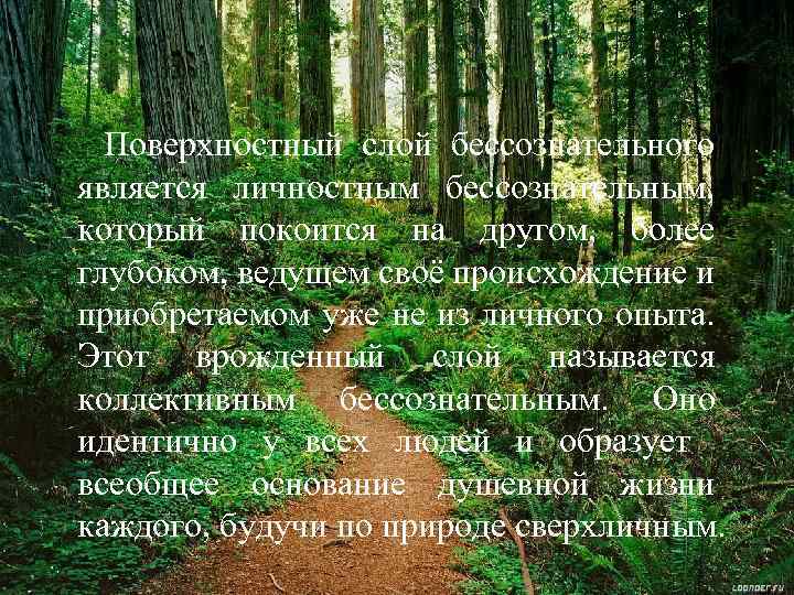 Поверхностный слой бессознательного является личностным бессознательным, который покоится на другом, более глубоком, ведущем своё