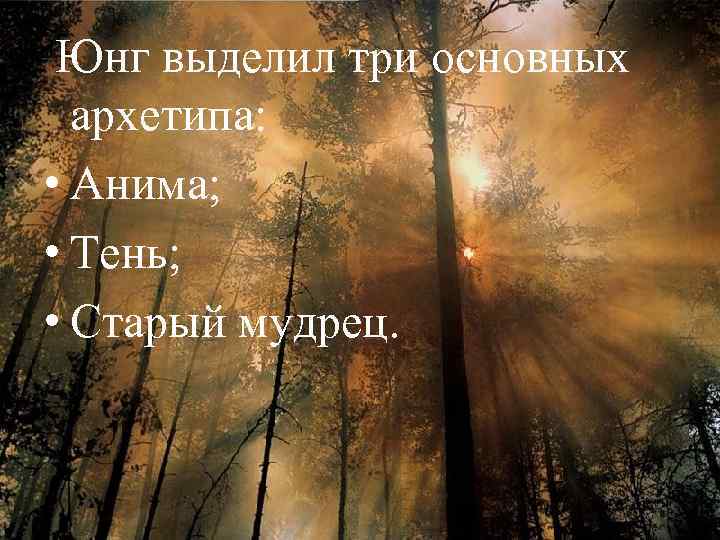 Юнг выделил три основных архетипа: • Анима; • Тень; • Старый мудрец. 