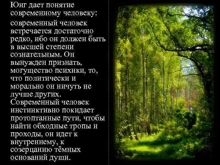 Юнг дает понятие современному человеку: современный человек встречается достаточно редко, ибо он должен быть