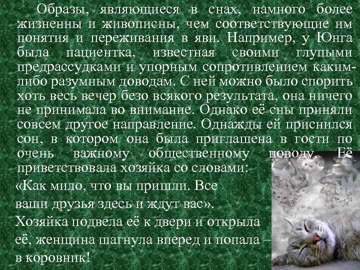 Образы, являющиеся в снах, намного более жизненны и живописны, чем соответствующие им понятия и