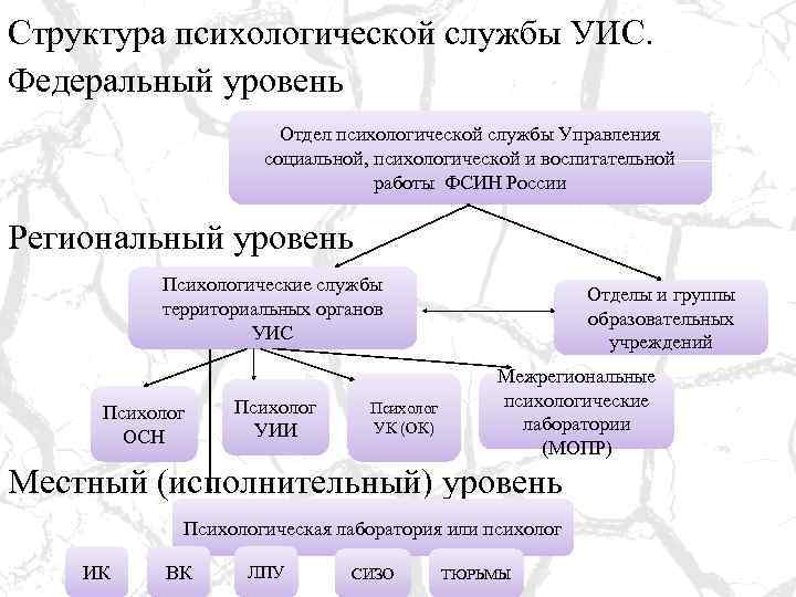 Структура психологической службы УИС. Федеральный уровень Отдел психологической службы Управления социальной, психологической и воспитательной