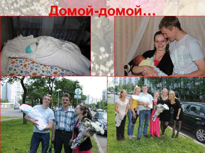 Домой-домой… 