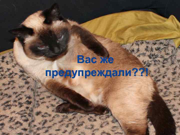 Вас же предупреждали? ? ! 