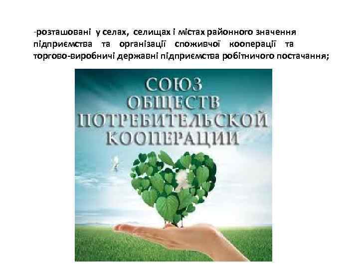 -розташовані у селах, селищах і містах районного значення підприємства та організації споживчої кооперації та
