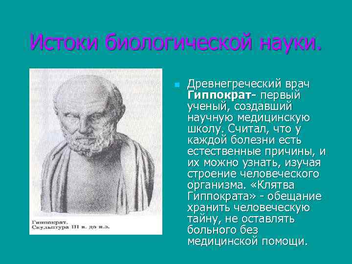 Истоки биологической науки. n Древнегреческий врач Гиппократ- первый ученый, создавший научную медицинскую школу. Считал,