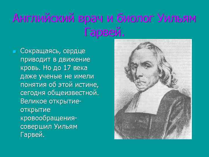Английский врач и биолог Уильям Гарвей. n Сокращаясь, сердце приводит в движение кровь. Но