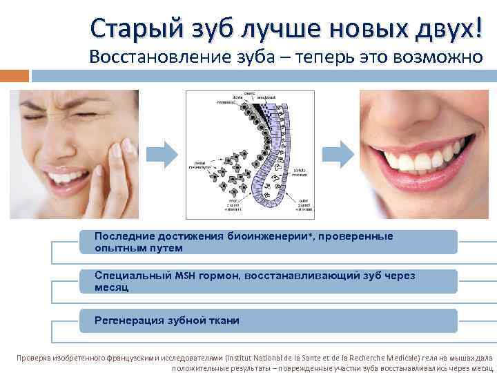 Можно ли зубы. Регенерации новых зубов. Самовосстановление зубов.