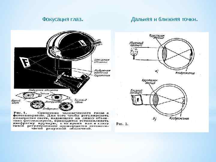 Фокусация глаз. Дальняя и ближняя точки. 