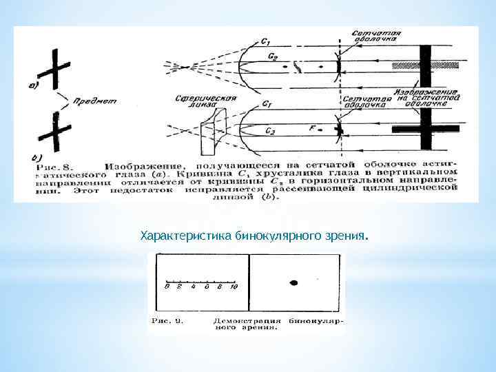 Характеристика бинокулярного зрения. 