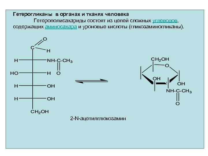 Гетерогликаны в органах и тканях человека Гетерополисахариды состоят из цепей сложных углеводов, содержащих аминосахара