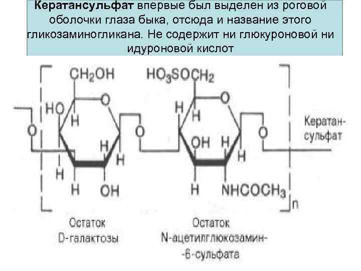 Кератансульфат впервые был выделен из роговой оболочки глаза быка, отсюда и название этого гликозаминогликана.