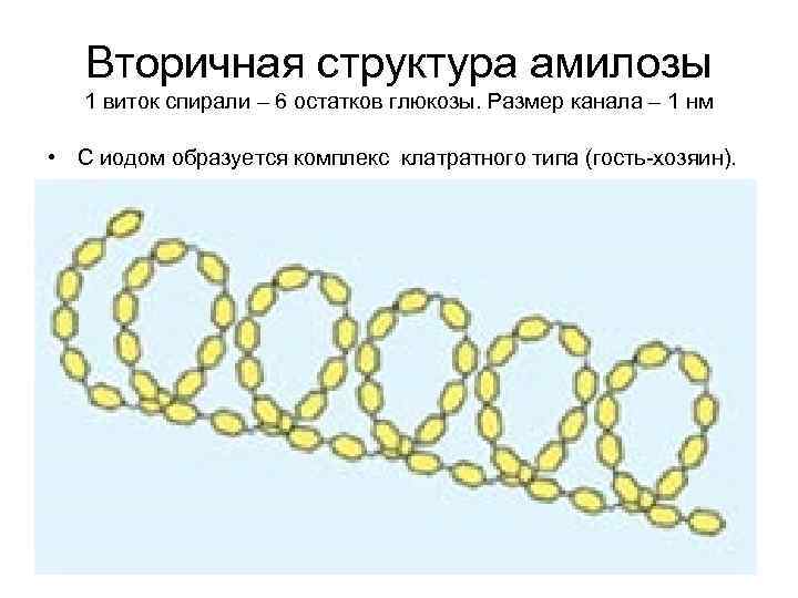 Вторичная структура амилозы 1 виток спирали – 6 остатков глюкозы. Размер канала – 1