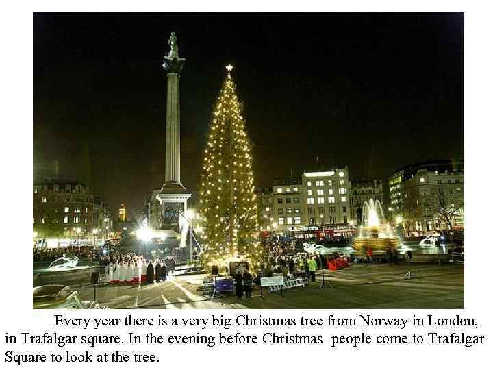 Every year there is a very big Christmas tree from Norway in London, in