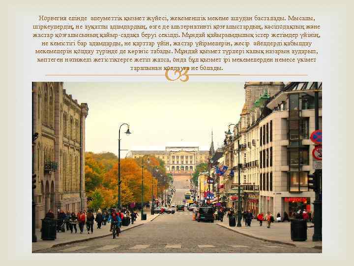 Норвегия елінде әлеуметтік қызмет жүйесі, жекеменшік мекеме ашудан басталады. Мысалы, шіркеулердің, не ауқатты адамдардың,