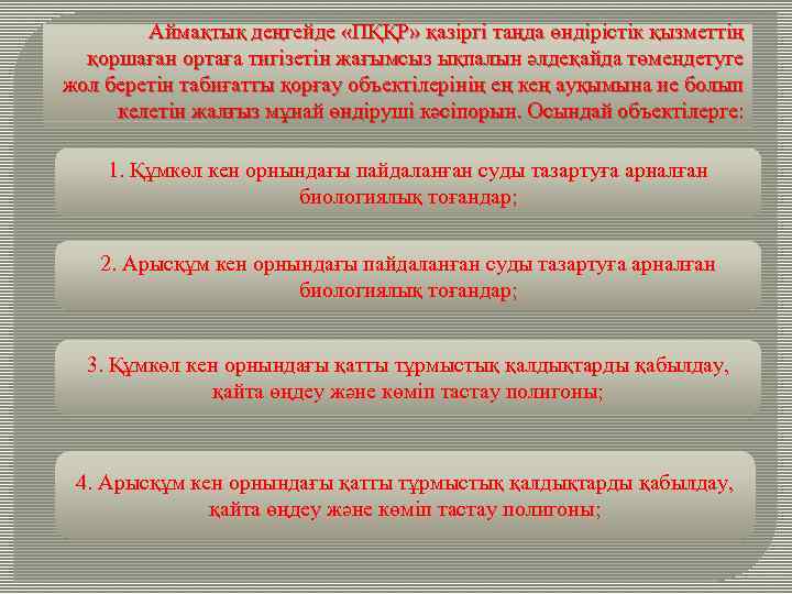 Аймақтық деңгейде «ПҚҚР» қазіргі таңда өндірістік қызметтің қоршаған ортаға тигізетін жағымсыз ықпалын әлдеқайда төмендетуге