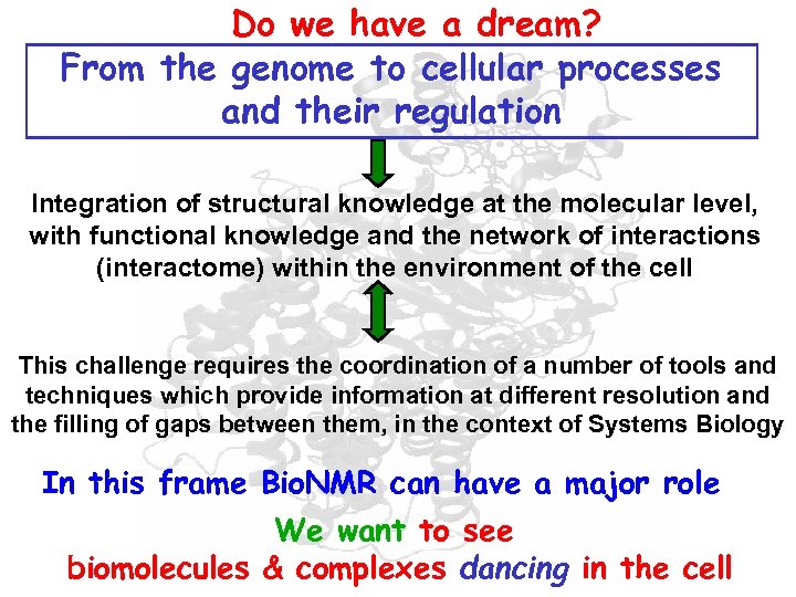 Do we have a dream? From the genome to cellular processes and their regulation