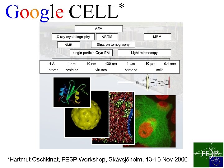 Google * CELL *Hartmut Oschkinat, FESP Workshop, Skåvsjöholm, 13 -15 Nov 2006 