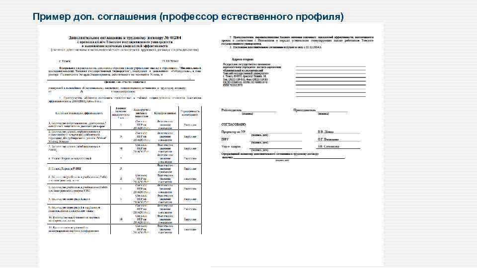 Пример доп. соглашения (профессор естественного профиля) 