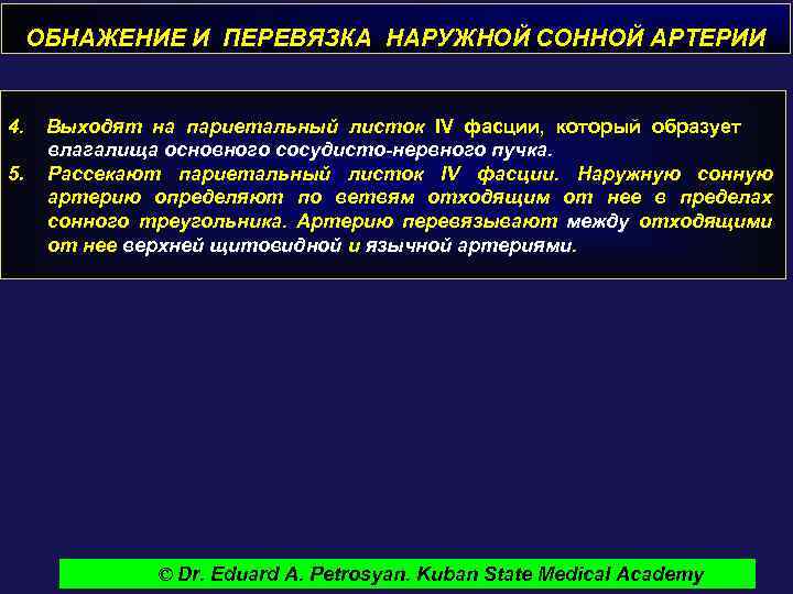 ОБНАЖЕНИЕ И ПЕРЕВЯЗКА НАРУЖНОЙ СОННОЙ АРТЕРИИ 4. 5. Выходят на париетальный листок IV фасции,