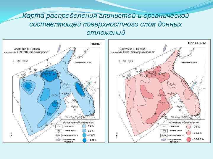 Карта распределения глинистой и органической составляющей поверхностного слоя донных отложений 
