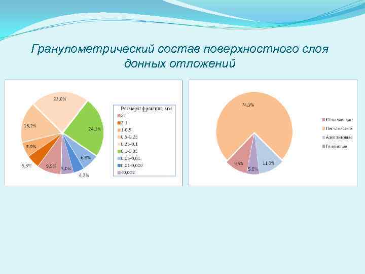 Гранулометрический состав поверхностного слоя донных отложений 
