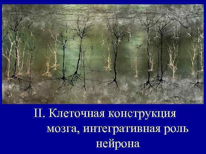 II. Клеточная конструкция мозга, интегративная роль нейрона 
