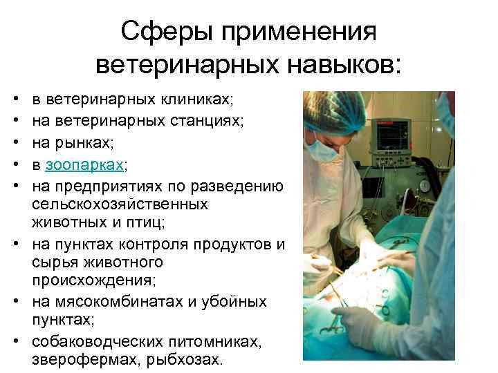 Сферы применения ветеринарных навыков: • • • в ветеринарных клиниках; на ветеринарных станциях; на
