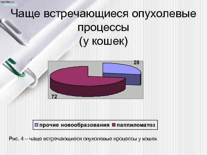 Чаще встречающиеся опухолевые процессы (у кошек) Рис. 4 – чаще встречающиеся опухолевые процессы у