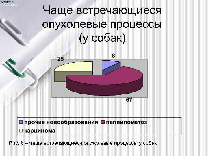 Чаще встречающиеся опухолевые процессы (у собак) Рис. 6 – чаще встречающиеся опухолевые процессы у