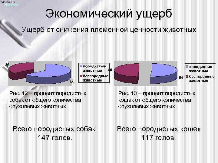 Экономический ущерб Ущерб от снижения племенной ценности животных Рис. 12 – процент породистых собак
