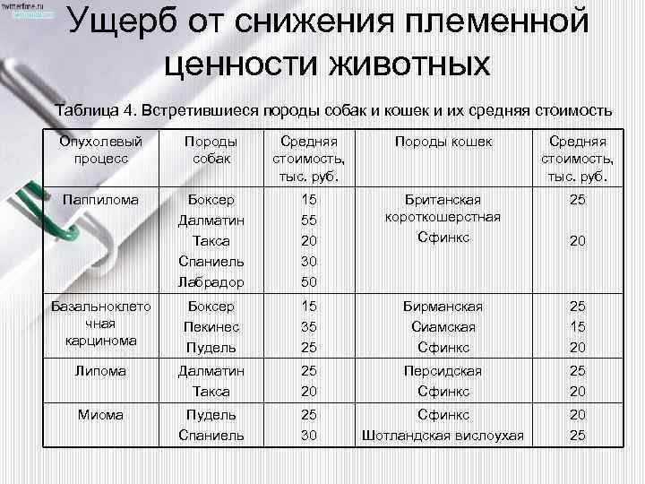 Ущерб от снижения племенной ценности животных Таблица 4. Встретившиеся породы собак и кошек и