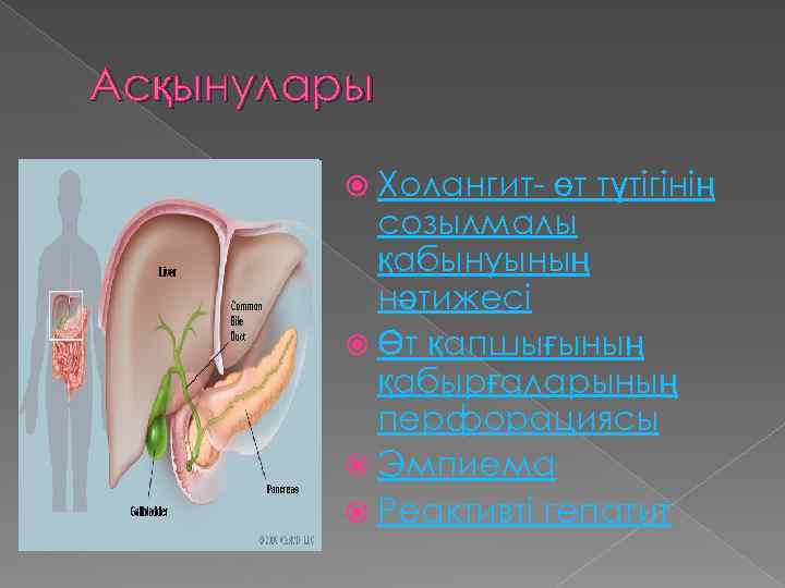 Асқынулары Холангит- өт түтігінің созылмалы қабынуының нәтижесі Өт қапшығының қабырғаларының перфорациясы Эмпиема Реактивті гепатит