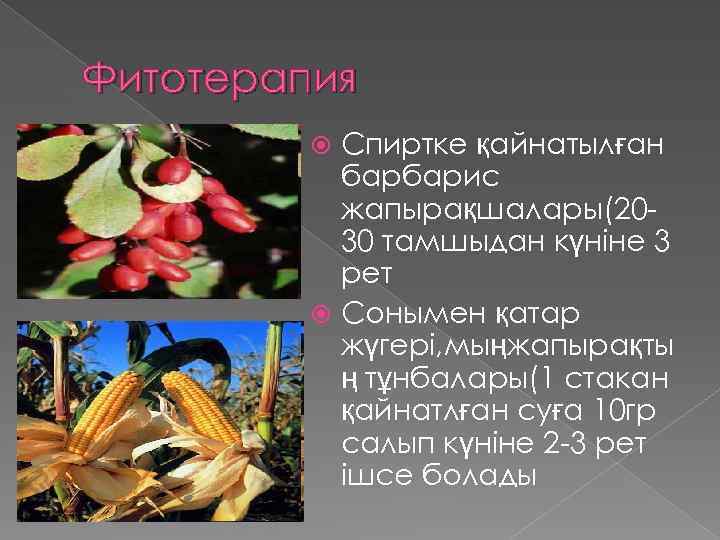 Фитотерапия Спиртке қайнатылған барбарис жапырақшалары(2030 тамшыдан күніне 3 рет Сонымен қатар жүгері, мыңжапырақты ң