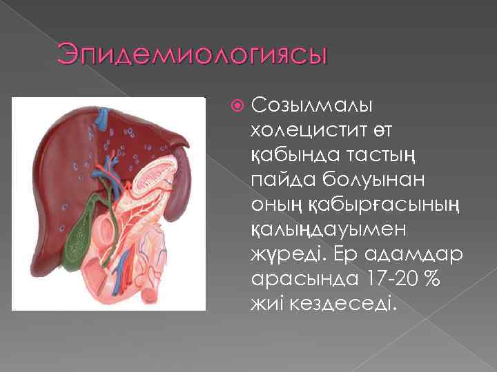 Созылмалы гломерулонефрит презентация