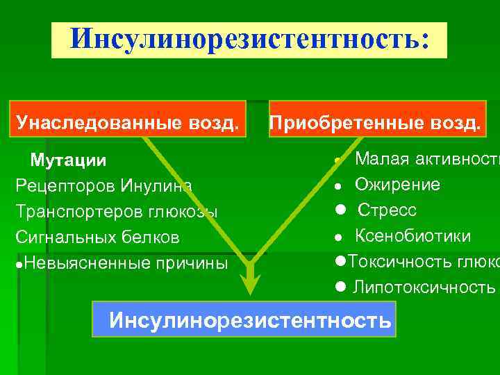Инсулинорезистентность: Унаследованные возд. Мутации Рецепторов Инулина Транспортеров глюкозы Сигнальных белков l. Невыясненные причины Приобретенные