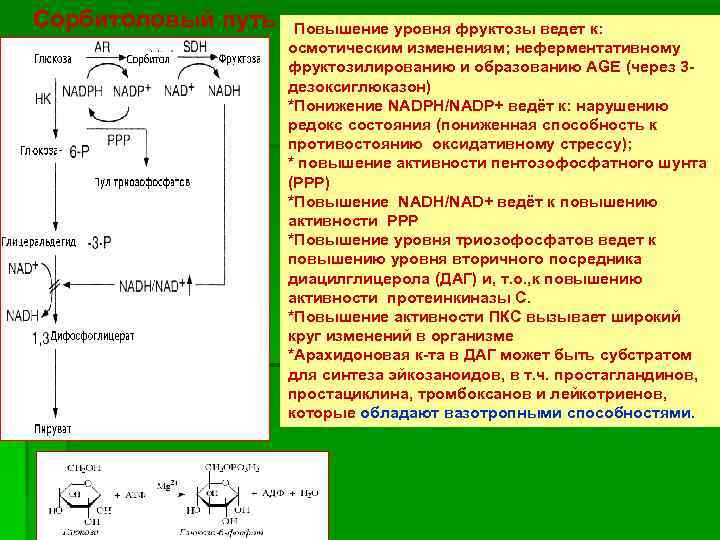 Сорбитоловый путь ГК *Повышение уровня фруктозы ведет к: осмотическим изменениям; неферментативному фруктозилированию и образованию