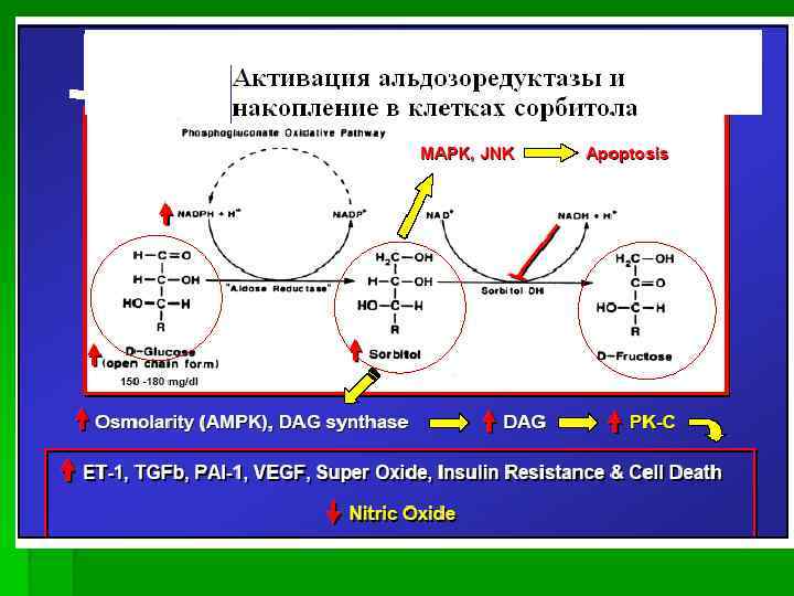 Аллоды гипат джунские механизмы