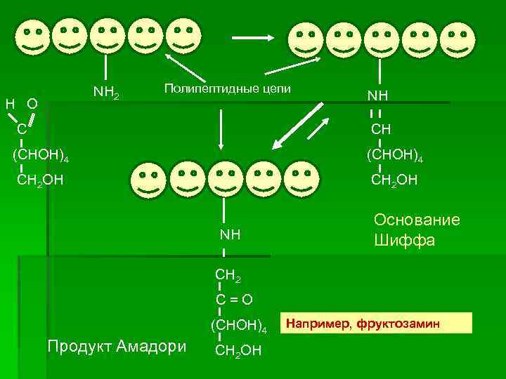 NH 2 H O Полипептидные цепи NH C CH (CHOH)4 CH 2 OH NH