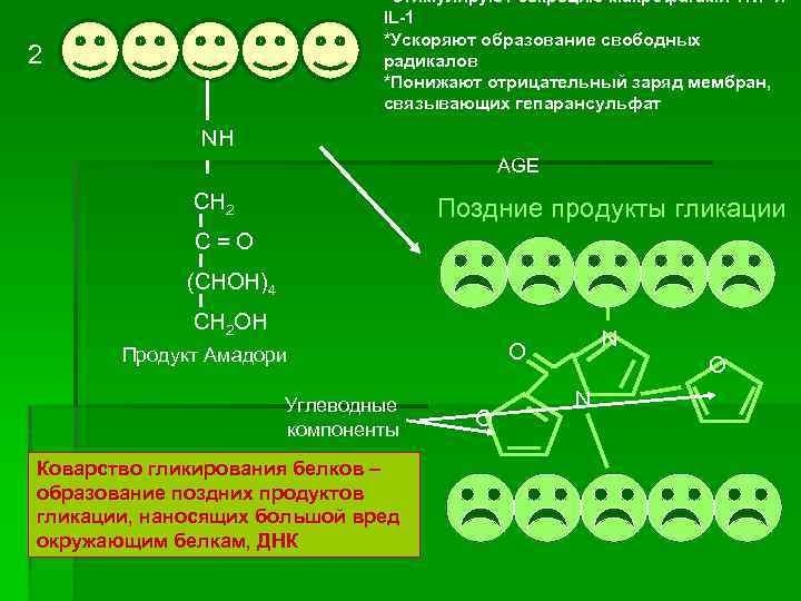 *Стимулируют секрецию макрофагами TNF и IL-1 *Ускоряют образование свободных радикалов *Понижают отрицательный заряд мембран,