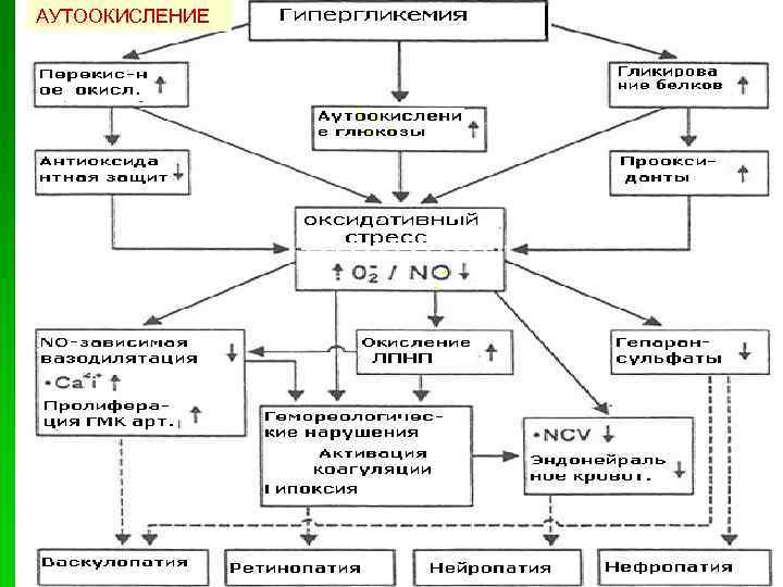 АУТООКИСЛЕНИЕ 