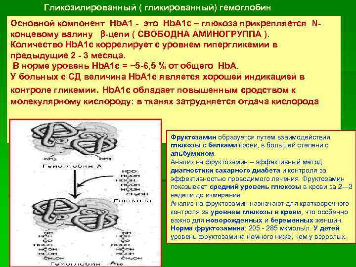 Гликозилированный ( гликированный) гемоглобин Основной компонент Hb. A 1 - это Hb. A 1