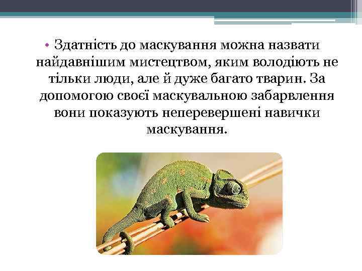  • Здатність до маскування можна назвати найдавнішим мистецтвом, яким володіють не тільки люди,