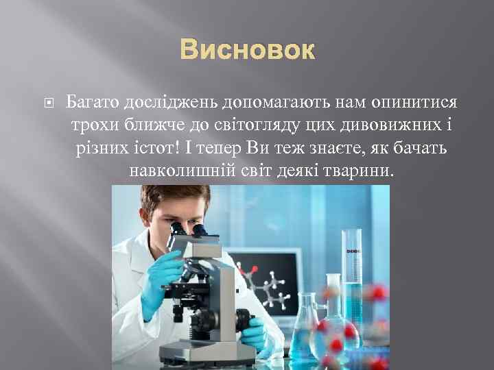 Висновок Багато досліджень допомагають нам опинитися трохи ближче до світогляду цих дивовижних і різних