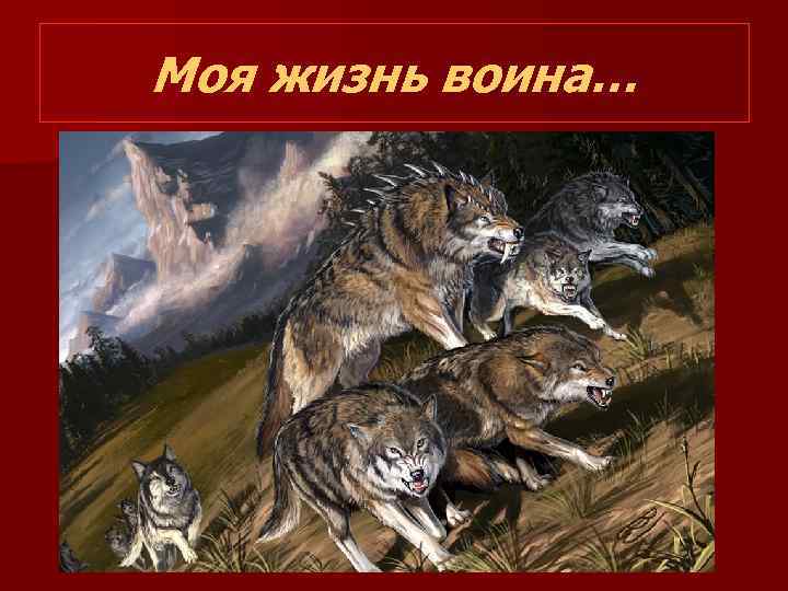 Моя жизнь воина… 