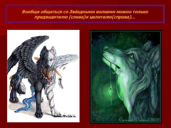 Вообще общаться со Звёздными волками можно только предводителю (слева)и целителю(справа)… 