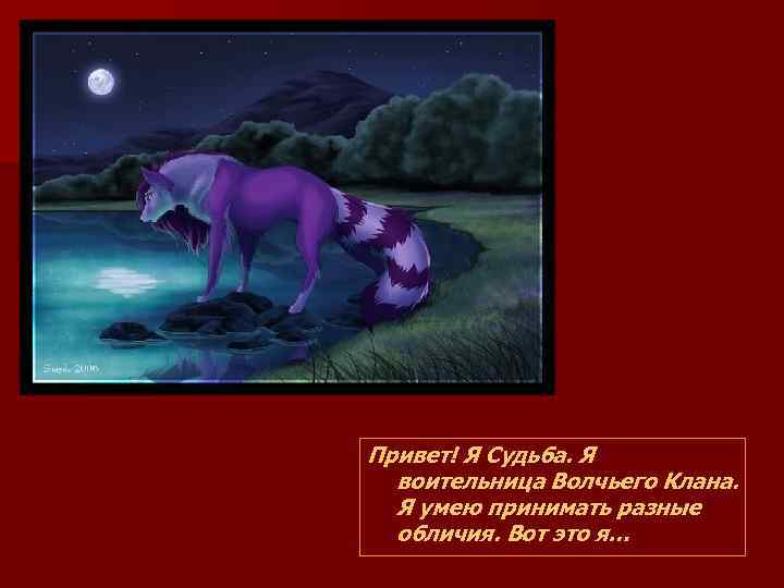 Привет! Я Судьба. Я воительница Волчьего Клана. Я умею принимать разные обличия. Вот это