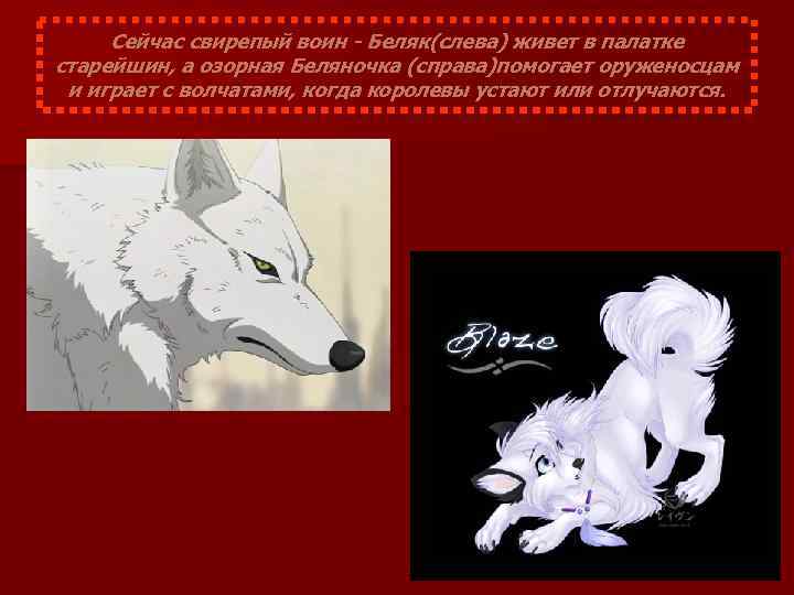 Сейчас свирепый воин - Беляк(слева) живет в палатке старейшин, а озорная Беляночка (справа)помогает оруженосцам